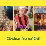 Mast Pran Koli said few lines on Christmas tree and crib.